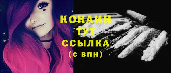 индика Белоозёрский