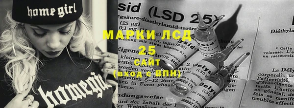 индика Белоозёрский