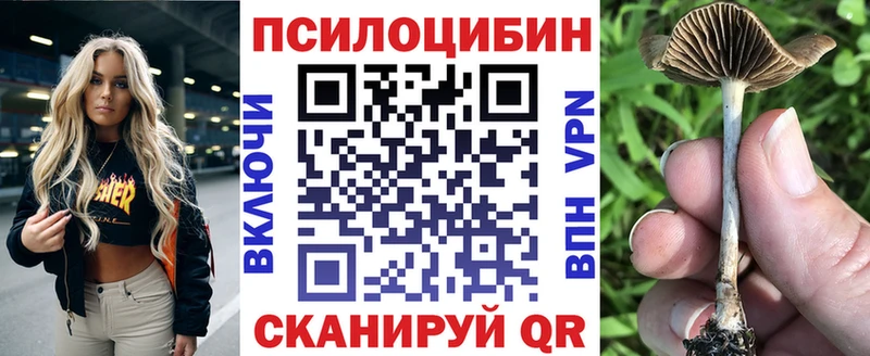 даркнет сайт  Николаевск-на-Амуре  Псилоцибиновые грибы ЛСД 